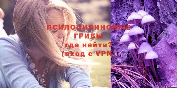 spice Абдулино