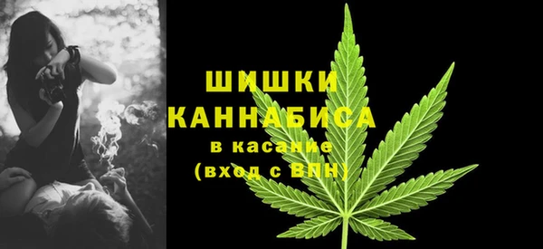 ПСИЛОЦИБИНОВЫЕ ГРИБЫ Медногорск