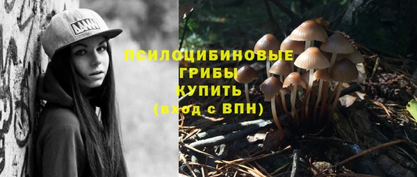 тгк Медвежьегорск