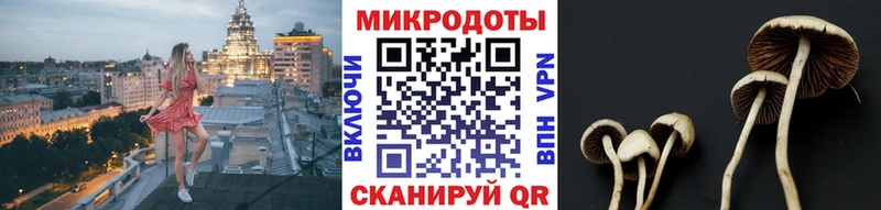 Галлюциногенные грибы прущие грибы  Электросталь 