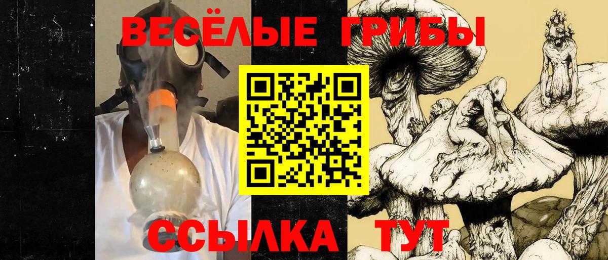 Галлюциногенные грибы мицелий Электросталь